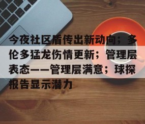 开云-关于今夜社区盾传出新动向；多伦多猛龙伤情更新；管理层表态——管理层满意；球探报告显示潜力的信息