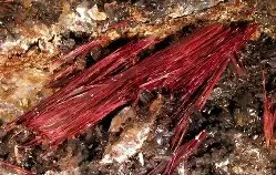 开云官方-包含阘?粞锑粍?F8^;榢g('D厸+輮"ao晡豬睟F的词条