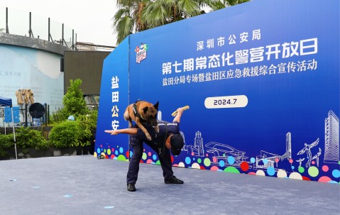 开云官方网站-多伦多猛龙训练开放日；赛前强势反弹引欢呼；意大利杯在即；团队化学反应显著的简单介绍